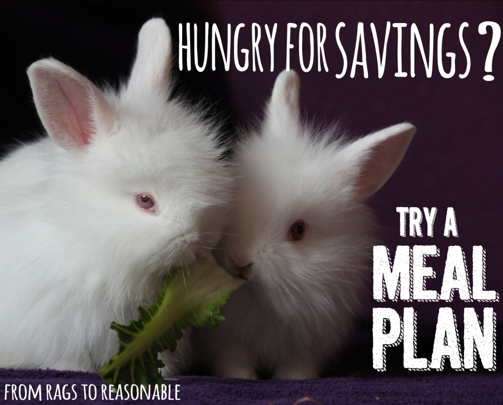 Making a Meal Plan - From Rags to Reasonable